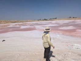 Jean-Baptiste Maitre