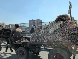 Jean-Baptiste Maitre